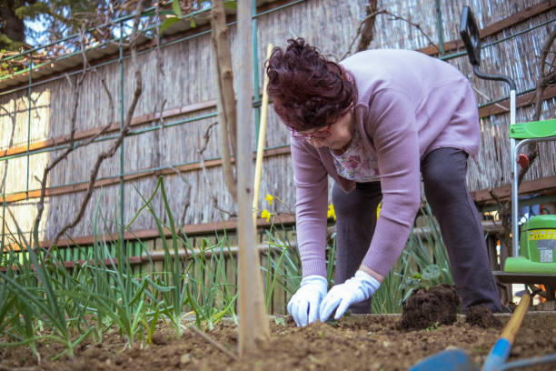 istock First you dig a hole, then you plant a flower 1388836445