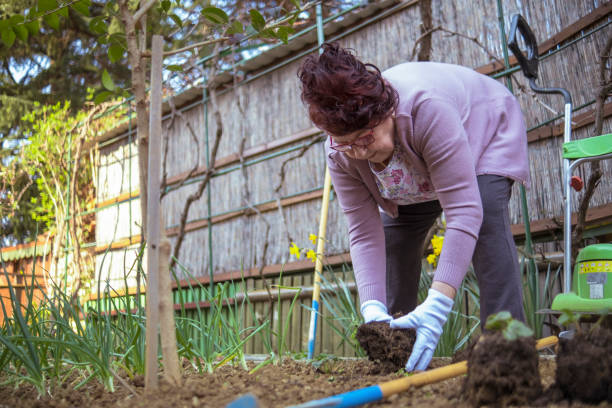 istock First you dig a hole, then you plant a flower 1388836446