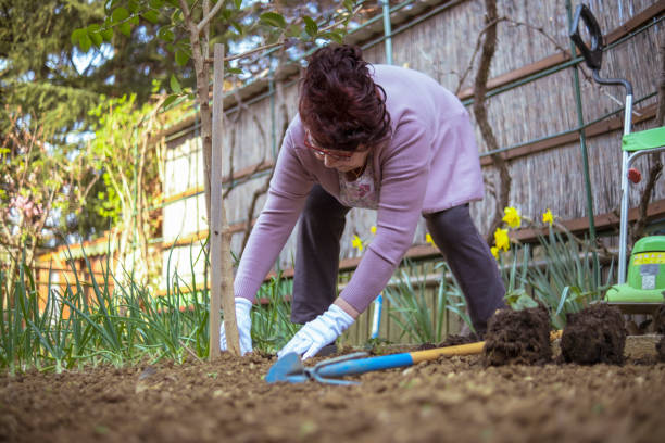 istock First you dig a hole, then you plant a flower 1388836471