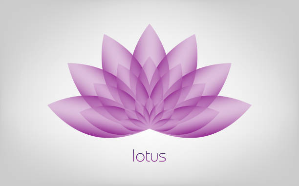 Purple Lotus icon, Flower of Life. Sacred Geometry. Symbol of Harmony and Balance. Sign of purity. Chakra Yoga design vector isolated on white background Purple Lotus icon, Flower of Life. Sacred Geometry. Symbol of Harmony and Balance. Sign of purity. Chakra Yoga design vector isolated on white background double flower stock illustrations