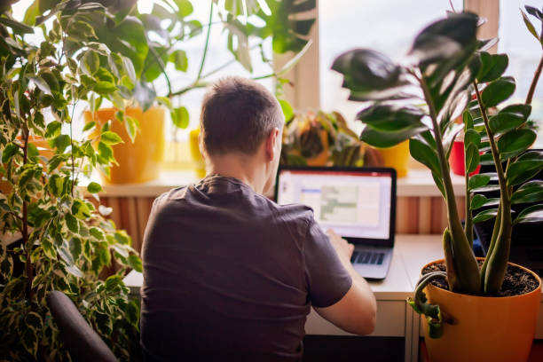 Man works with laptop remotely from home. Distant work place with green-nature inspired home office A man working with laptop remotely from home. A distant work place with many home plants. Green nature inspired home office. Indoor lifestyle office balcony stock pictures, royalty-free photos & images