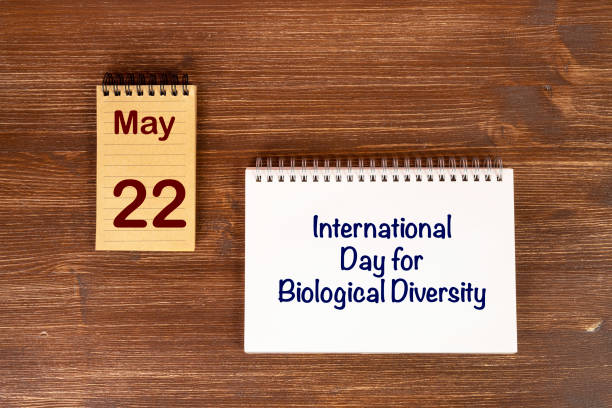 istock International Day for Biological Diversity 1388839856