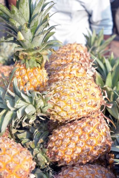 istock Closeup Fresh Pineapple Arranged at Market in india 1388840076