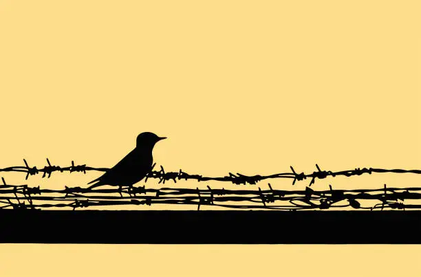 Vector illustration of bird on old barbed wire at sunset, silhouette