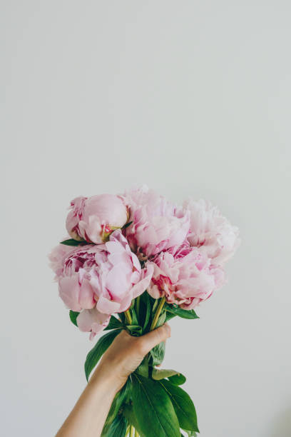 istock Hand holding peony flowers bouquet 1388845271