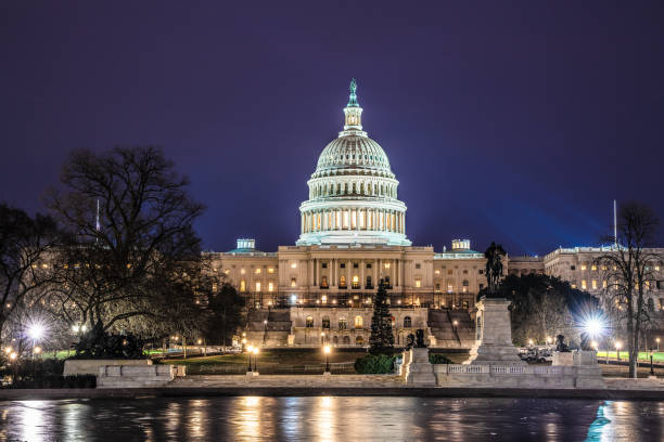 istock The Capitol Building in Washington DC 1388846337