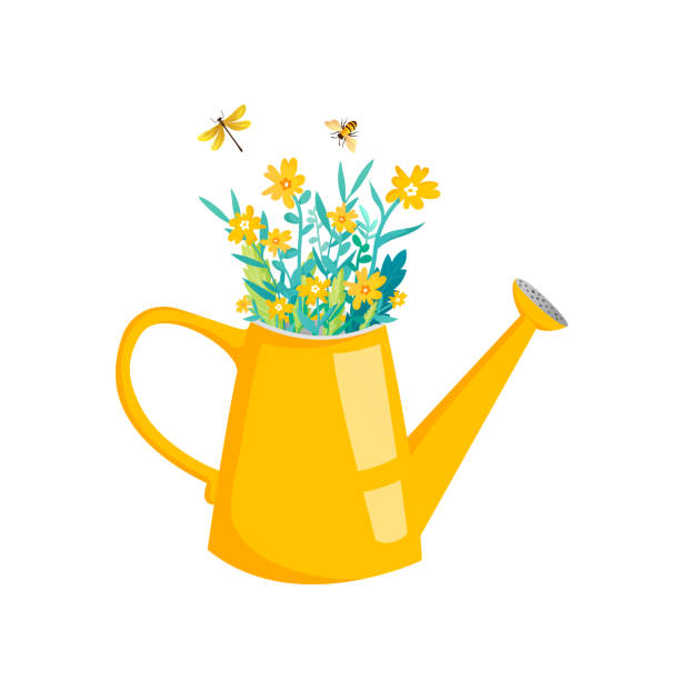 ilustrações, clipart, desenhos animados e ícones de regando lata com buquê de flores de primavera. - watering can illustrations