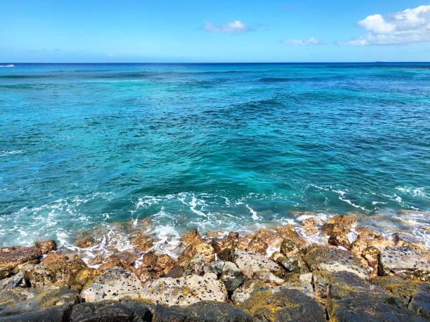 istock Beautiful Landscape in Honolulu Hawaii 1388861065