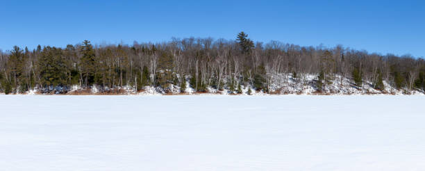 Panorama of a northern Minnesota lake and shore with pines and birch on a sunny winter day stock photo
