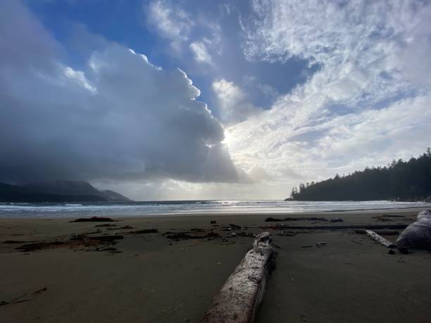 istock Sunshine at the Beach 1388869265