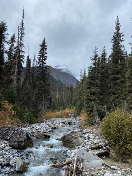 istock Mountain creek in autumn 1388870944