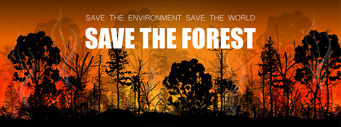 Save the forest concept. Forest fires with silhouettes of trees burn. Vector illustration.