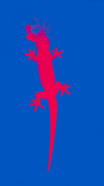 istock Photo of toning lizard on a blue backgrounds 1388882240