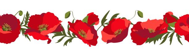 Vector horizontal seamless border with red poppy flowers on a white background Vector horizontal seamless border with red poppy flowers on a white background. Vector illustration memorial day art stock illustrations