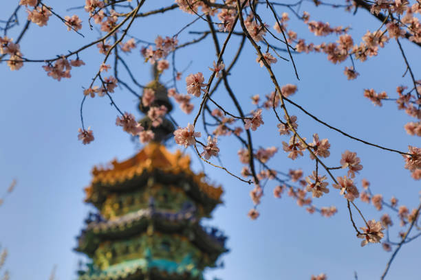 istock Spring flowers branches and towers 1388883962
