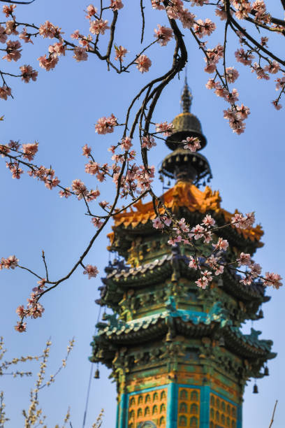 istock Spring flowers branches and towers 1388883964