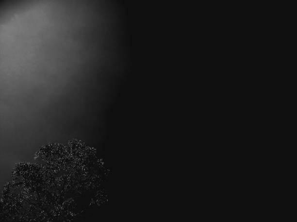 In the dead of the night, a single tree is lit only by the natural moonlight. Taken in Greenwich, London, UK.