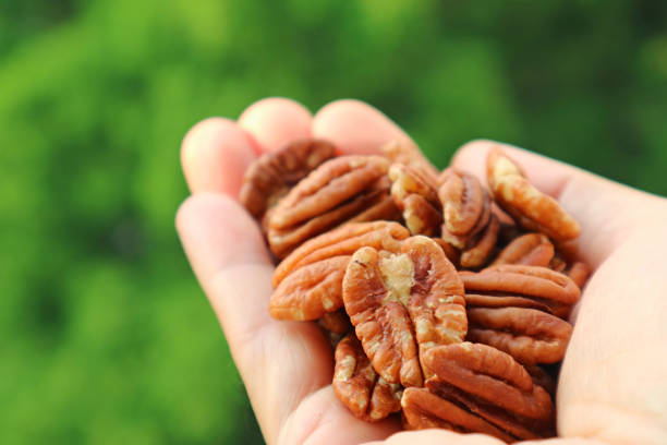 istock Man's Hand Filled with Pecan Nuts with Blurry Green Garden in the Backdrop 1388889727