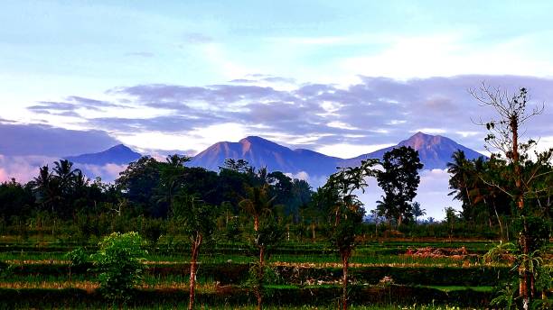 istock Mount Rinjani Lombok 1388890450