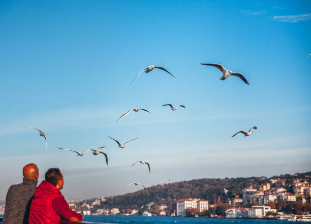 Istanbul, Turkey- January 6th, 2022: Tourists on ferry boat on Bosphorus in Istanbul. Cityscape of Istanbul and seagulls can be seen in the picture.