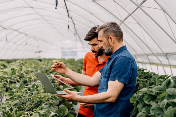 istock Greenhouse owner examining flowers and using laptop and  touchpad at work. 1388894822