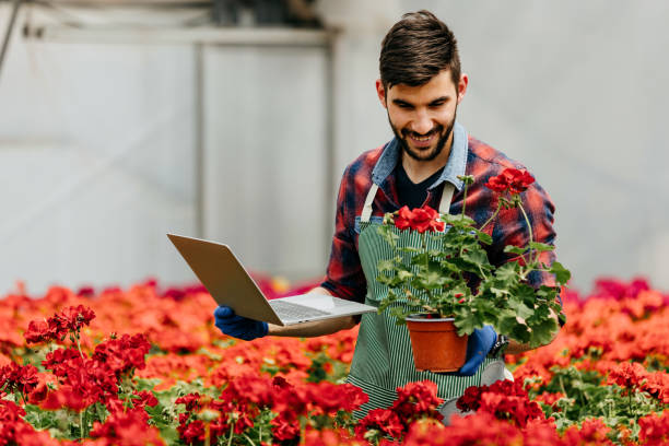 istock Young attractive man working at the plants nursery using laptop 1388895559