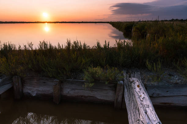 Walk through the famous saltern of Cervia-Italy during the evening