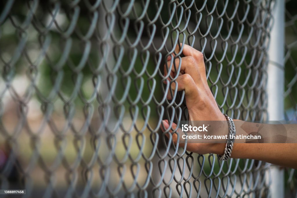 The young man's hand clinging to the lattice fence outside the building due to imprisonment. The idea of imprisoning prisoners of war to prevent escaping and to negotiate with the enemy. Emigration and Immigration Stock Photo