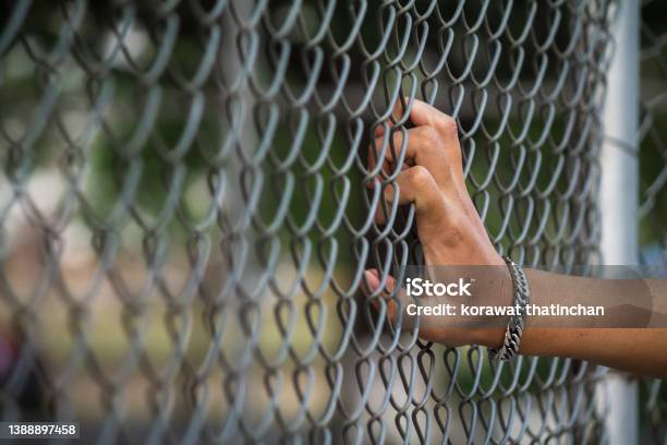 The Young Mans Hand Clinging To The Lattice Fence Outside The Building Due To Imprisonment The Idea Of Imprisoning Prisoners Of War To Prevent Escaping And To Negotiate With The Enemy Stock Photo - Download Image Now
