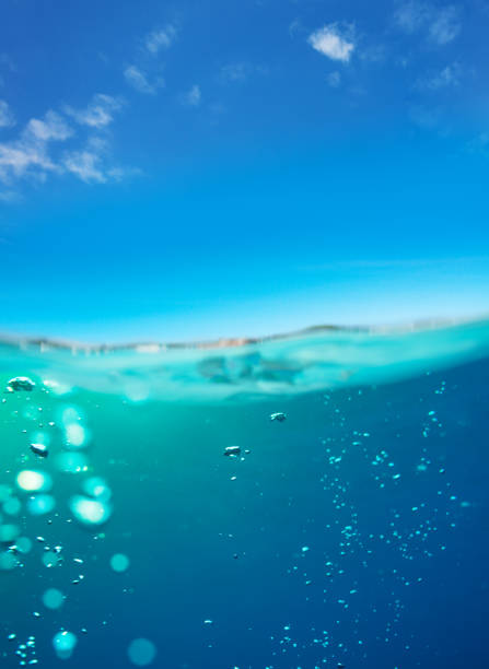 Many small fish on the sea surface off Kabira Bay, Ishigaki Island