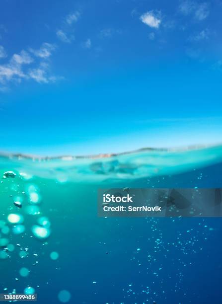 Underwater Split Images Of Pool Water Surface And Sky Stock Photo - Download Image Now
