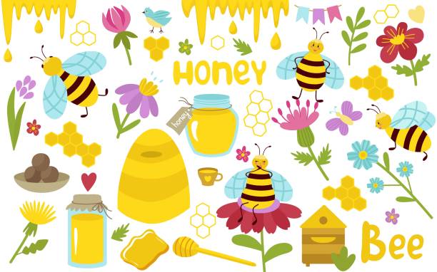 53 Bee Keeper Portrait Illustrations & Clip Art - iStock 53 Bee Keeper Portrait Illustrations & Clip Art - iStock