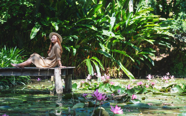 ピンクの蓮の花が咲く池の木製の橋に座っている美しい若いアジア人女性の肖像画 - lake asia young women beautiful people ストックフォトと画像