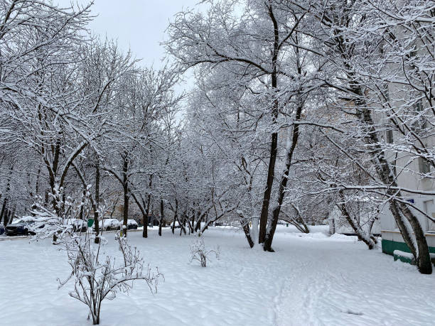 winter in city yard at cloudy day after snowfall