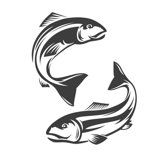 Salmon fish monochrome vector icon or emblem Salmon fish icon. Fishing sport, hobby equipment store or seafood products shop monochrome vector emblem, icon or yin and yang symbol with two swimming, jumping out of water sea or ocean salmon fishes dieng plateau stock illustrations