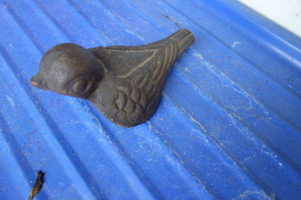 a symbol of a bird, animal with feathers and wings