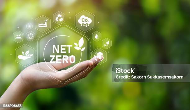 The Concept Of Carbon Neutral And Net Zero Natural Environment A Climateneutral Longterm Strategy Greenhouse Gas Emissions Targets With Green Net Center Icon On Hand Cap And Green Background Stock Photo - Download Image Now