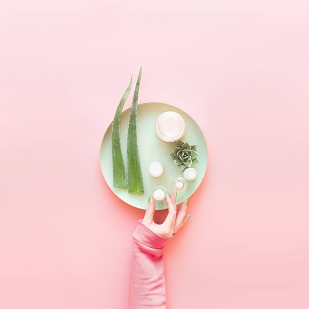 Women hand holding modern moisturizing skin care cosmetic products on tray with fresh aloe vera leaves on pastel pink background. stock photo