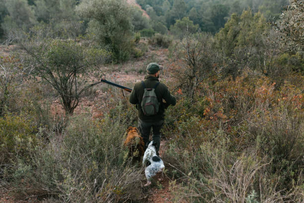 istock Man on his back walking with his two dogs looking at side 1388909226