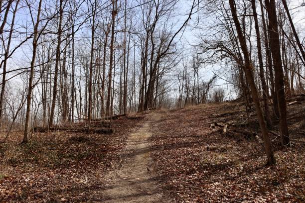 istock Dirt Trail up the Hill 1388911700