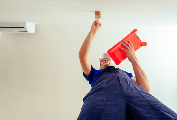 istock Worker in blue uniform is painting wall in the white 1388915204