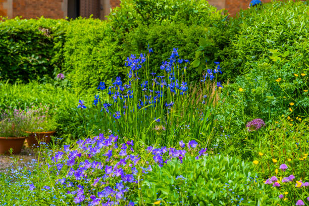 istock summer flower walled garden colourful botanical horticultural border 1388915805