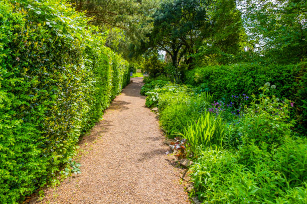istock summer flower walled garden colourful botanical horticultural border 1388916295
