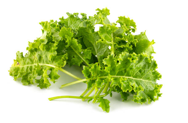 istock close up of kale leafy vegetable on white background. 1388917421