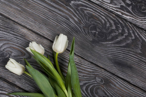 istock Bouquet of white tulips on black pine boards. 1388918320