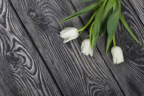 istock Bouquet of white tulips on black pine boards. 1388918322