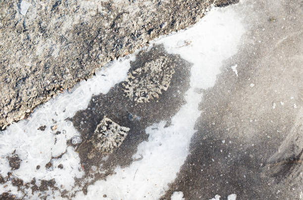 istock Dirty footprint over icy ground 1388919556