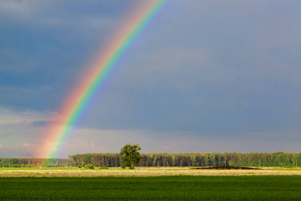 istock beautiful double rainbow in cloudy sky 1388920623