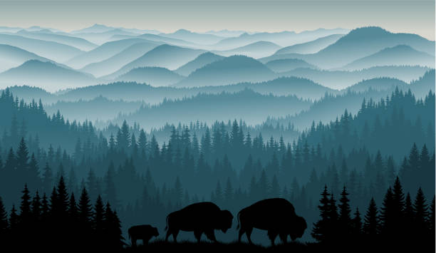 ilustraciones, imágenes clip art, dibujos animados e iconos de stock de vector mañana en las montañas con familia de bisontes de búfalo zubr marrón con niño - colorado coniferous tree mountain range mountain