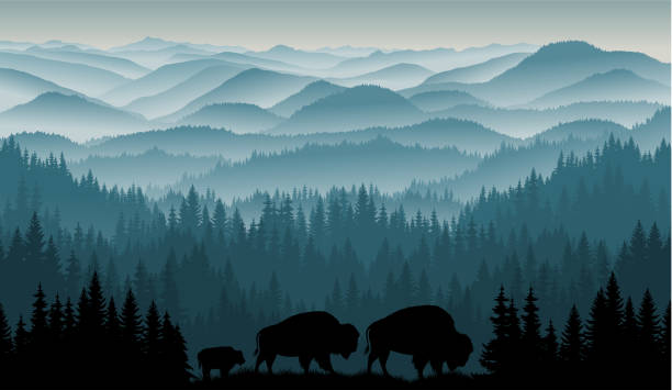 ilustrações, clipart, desenhos animados e ícones de vetor manhã nas montanhas com família de bões de búfalo zubr marrom com criança - montana sunrise mountain mountain range